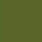 13PL RAL6003